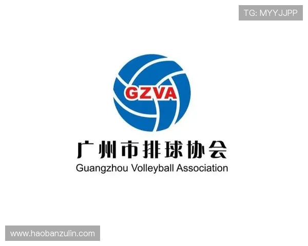 广州排球队运营策略深度分析与发展前景探讨